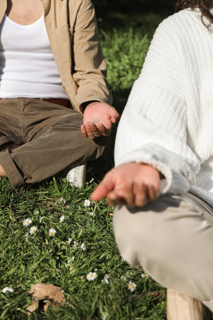 Pair of adults practicing meditation on grassy field in sunlight.